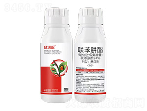 24%(lin)-M(mn)-ׁ
