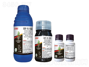 6%ס׾N̎ҸFS-f_-лƌW