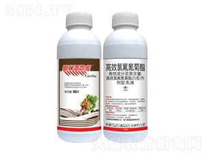 25/ЧȷͣEC-wػ-лƌW