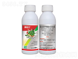 20%xxҸSC-L(fng)-лƌW(xu)