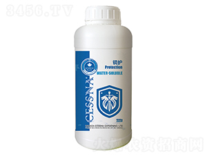 ʽr(ji)ЙC(j)~-~o(h)-ЅRr(nng)I(y)