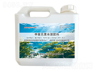 Ԫˮܷ-O}VF\-˹r(nng)