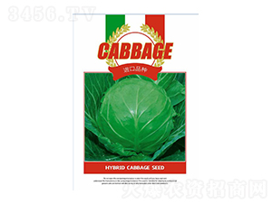 {(ln)N-M(jn)ƷN-Sr(nng)I(y)