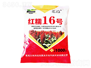 ƷN-tŴ16̖-rI(y)