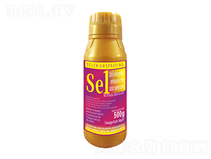 500gLɫ1̖-r