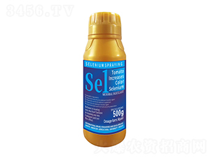 500gDɫ1̖-r