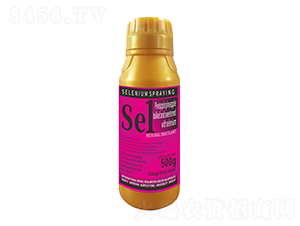 500g}P1̖-r