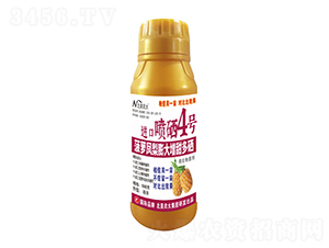 500g}PM(jn)ڇ4̖-r(nng)