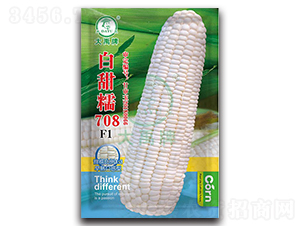 Ŵ708׷N-NI(y)