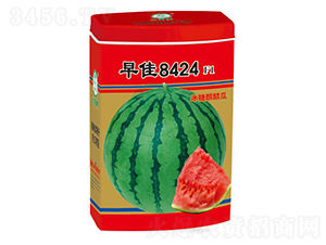 8424ϷN-NI(y)