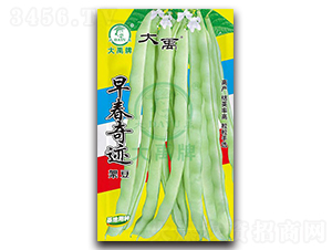 紺E-ܶN-NI(y)