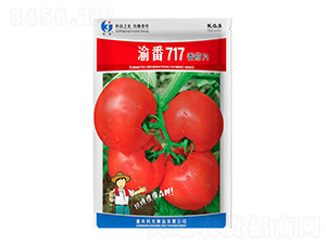 巬717-ƹN