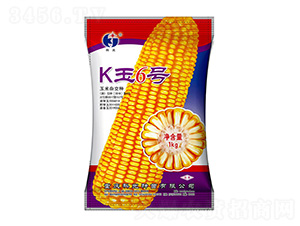 K6̖-ƹN