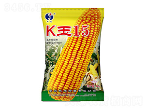 K15-ƹN