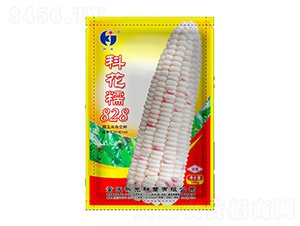 ƻŴ828-ƹN