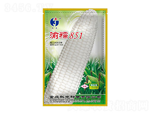 Ŵ851-ƹN