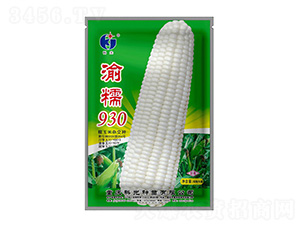 Ŵ930-ƹN