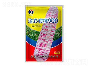 Ŵ900-ƹN