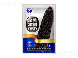 Ŵ950-ƹN