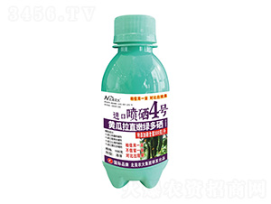 100Sֱ۾GM(jn)ڇ4̖-r(nng)
