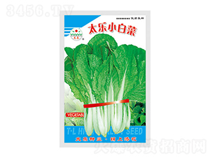 ײ˷N-̫Сײ-̫NI(y)