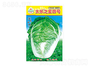 ײ˷N-̫̖֮-̫NI(y)