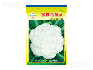 ׻Ҭ˷N-ɰ׻Ҭ-̫NI(y)