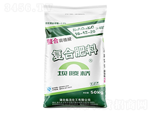 ϸֲ(f)Ϸ16-12-20--A(qing)F(tun)