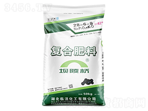 (f)Ϸ28-6-8--A(qing)F(tun)