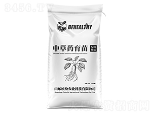 вˎ|(zh)-_r(nng)I(y)