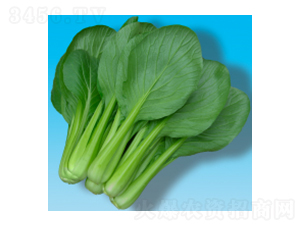 Сɲ˷N-202-A孷NI(y)