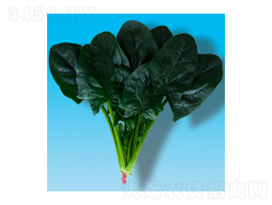 ˷N-孲012-A孷NI(y)