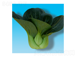 ๣˷N-317-A孷NI(y)