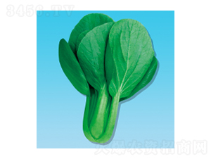 ๣˷N-398-A孷NI(y)