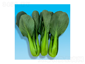 ๣˷N-LL(fng)-A孷NI(y)