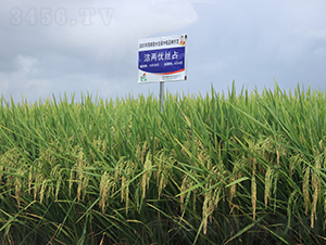 Ƀ(yu)zռ-ˮN-𽡷NI(y)