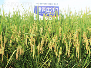 Ƀ(yu)281-ˮN-𽡷NI(y)