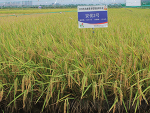 (yu)2̖-ˮN-𽡷NI(y)