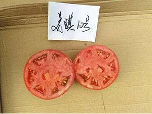 ߿10̖(ho)-ѷN-SNI(y)