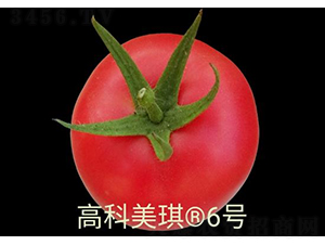 ߿6̖(ho)-ѷN-SNI(y)