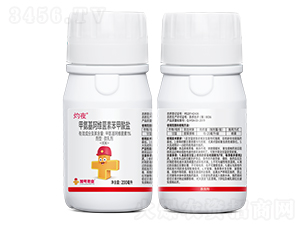 װSر}-ҹ-̖(ho)Сtñ