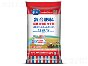 ֲxӷ12-23-10--ʢԴ