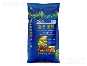 p乤ˇSͺϷ16-16-16-Ԫ-W(wng)(lin)