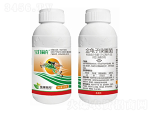 100|/˽ӾG͑Ҹ-E-