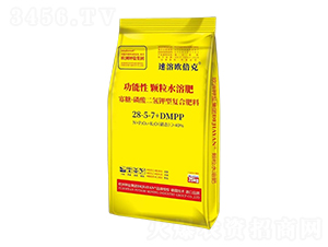 ǡ͏(f)Ϸ28-5-7+DMPP-ܚW-}(gu)H