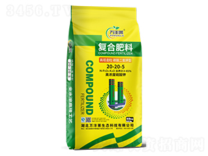 ͏(f)Ϸ20-20-5-fSR-Dؐ