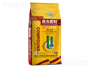 ͏(f)Ϸ29-5-6-fSR-Dؐ