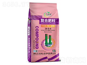 ͏(f)Ϸ28-6-6-fSR-Dؐ