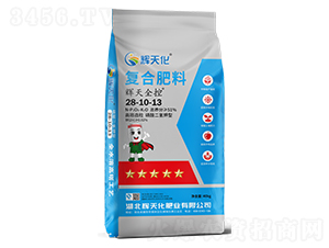 xȫ؏(f)Ϸ28-10-13-x컯-Dؐ