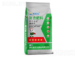 xȫ؏(f)Ϸ28-5-7-x컯-Dؐ